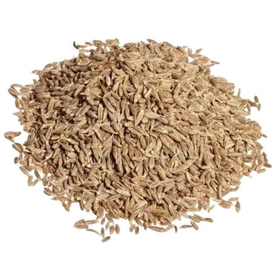 Cumin Seeds Export